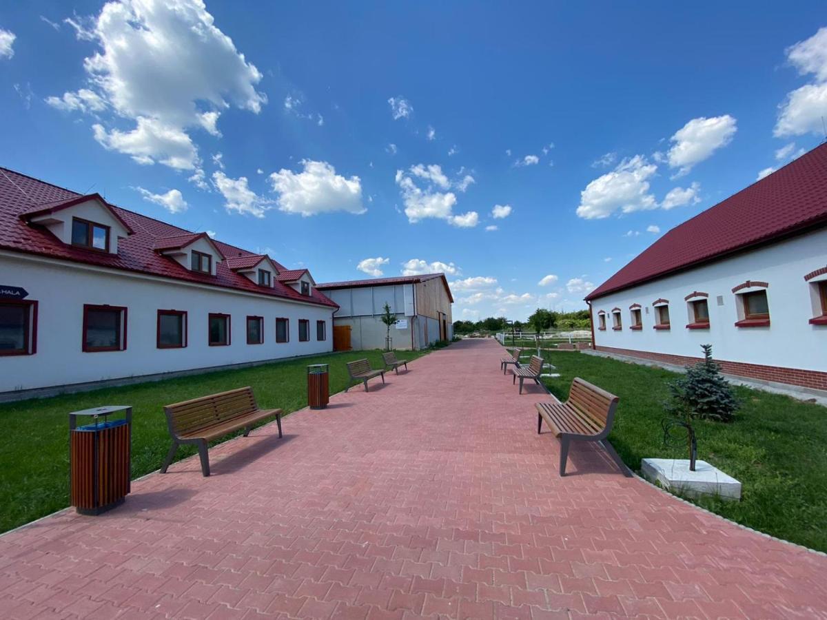 TERRA penzión Jasova Exterior foto
